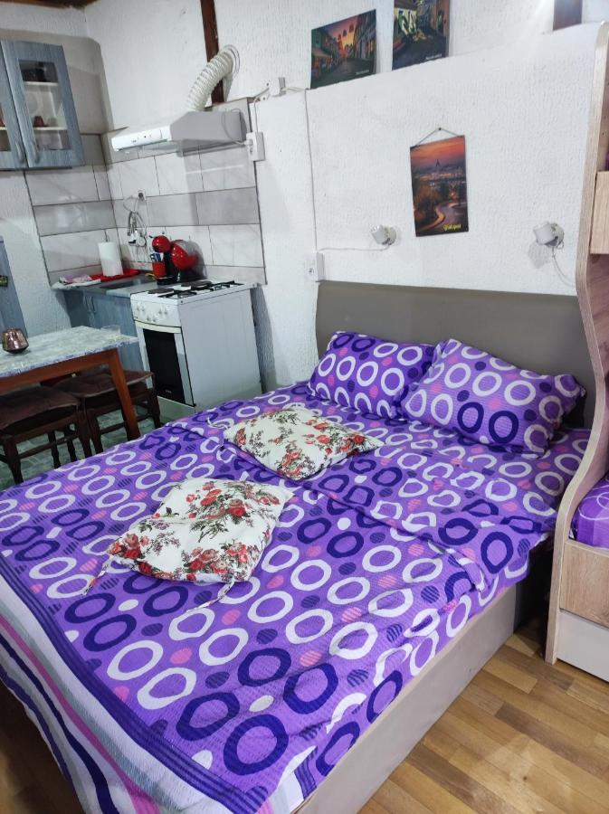 Apartament Prenociste Indija Hrvic Zewnętrze zdjęcie